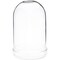 Plymor 3" x 5" Glass Display Dome Cloche (Clear Glass Tray Base)